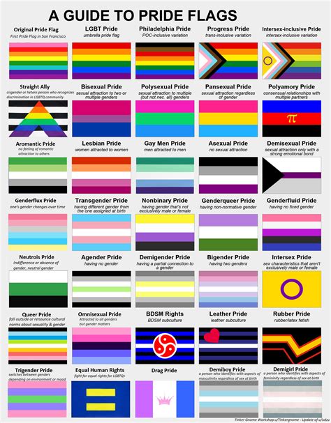 omnisexual flag|Pride Flag Guide: Omnisexual 